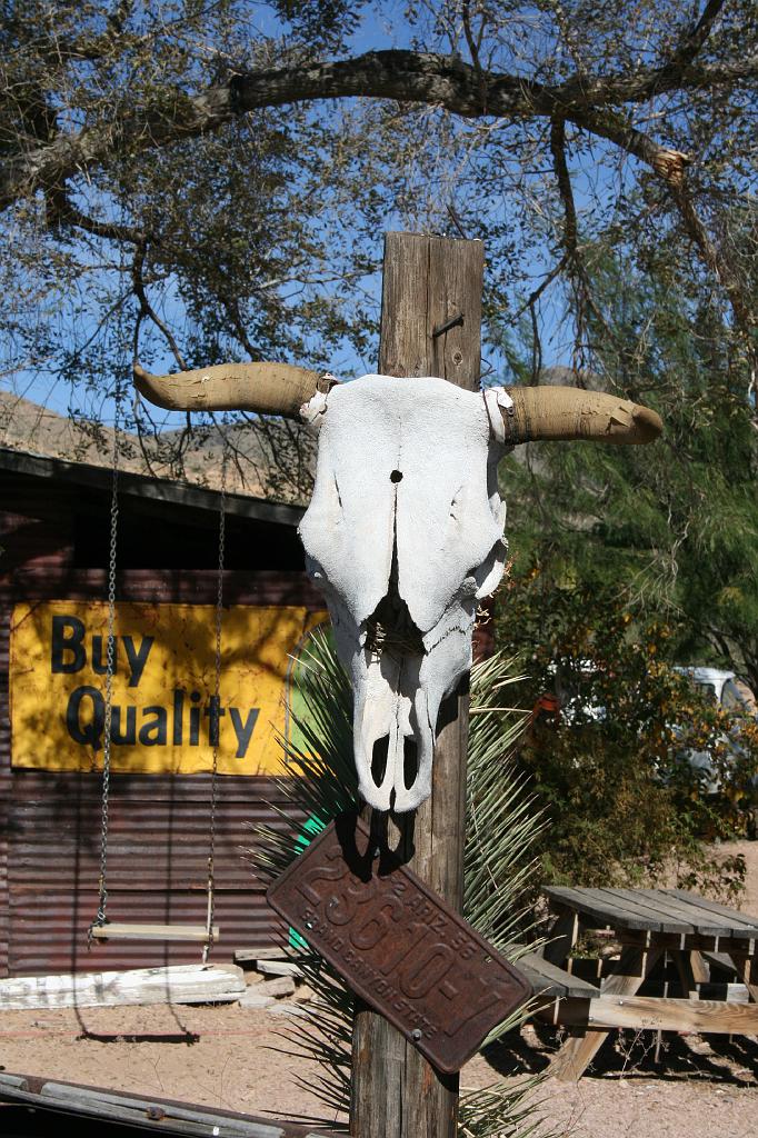 20081024 Route 66 032.jpg - Hackberry - Domestic animal